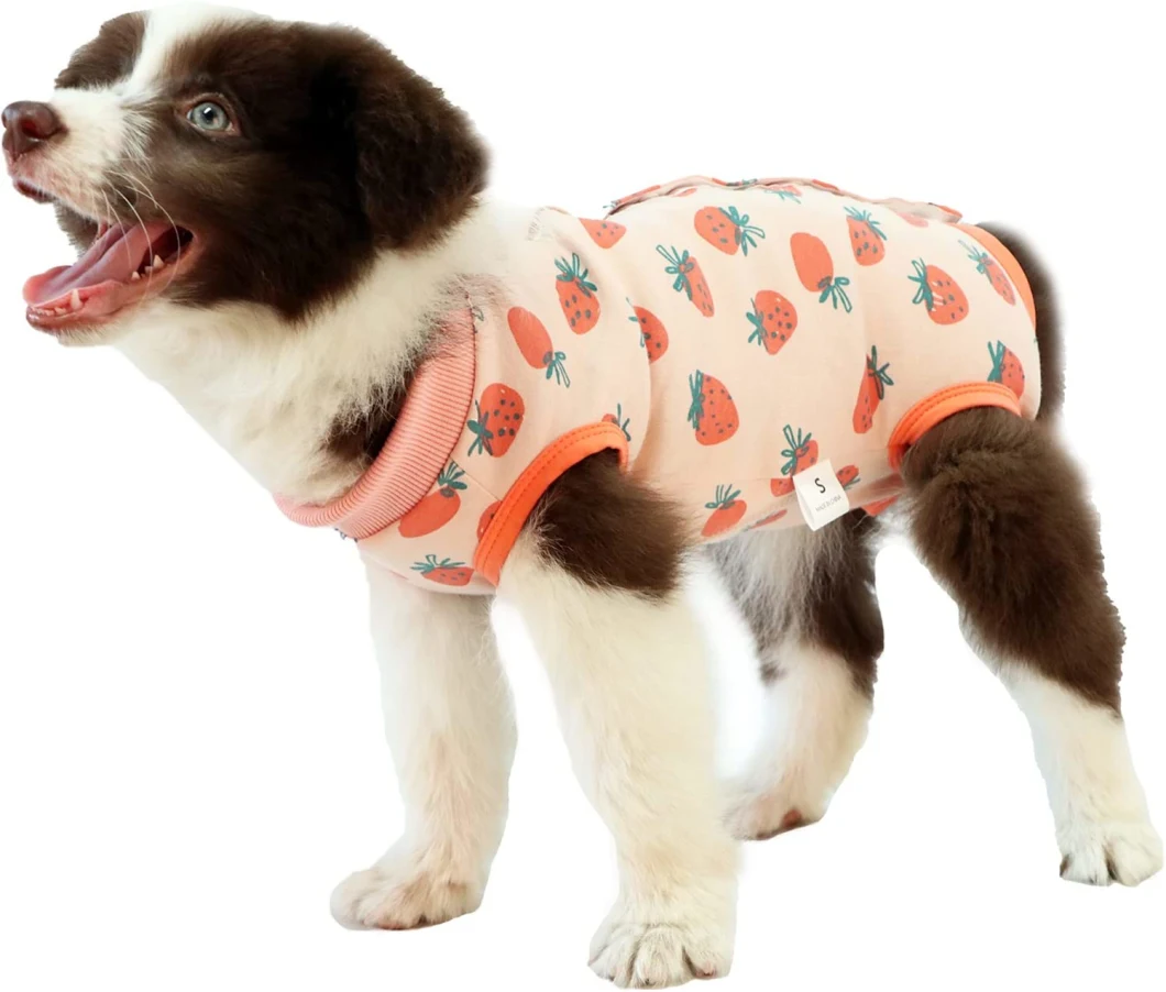 Dog Recovery Suit After Surgery, Wound Protector Spay Recovery Suit for Female/Male Dog, Anti-Licking Puppy Recovery Shirts